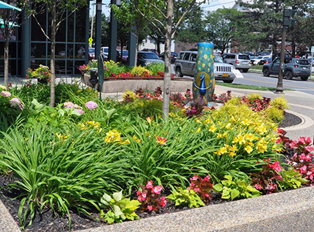 landscape for business albany ny